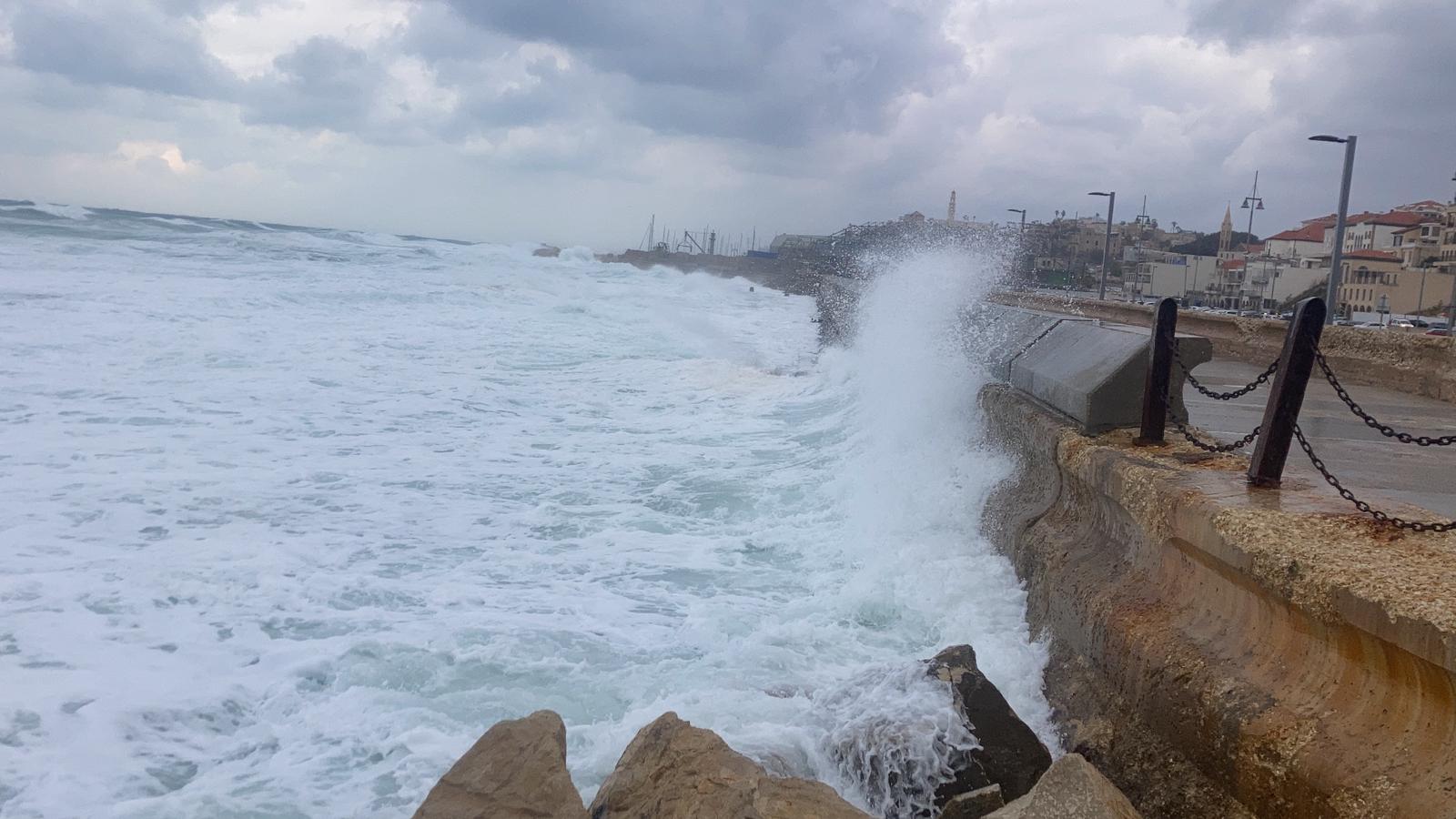 WhatsApp Image 2021-12-20 at 1.59.21 PM.jpeg